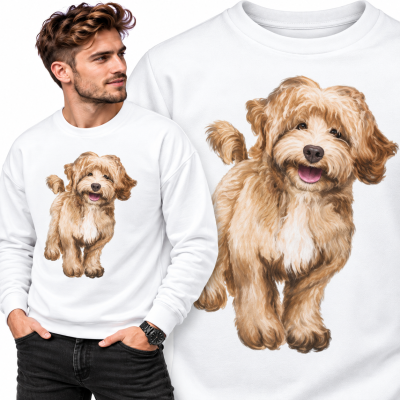 BLUZA ZWIERZĘTA  BOSTON CAVAPOO